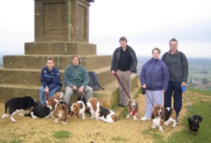 Ham Hill basset walk